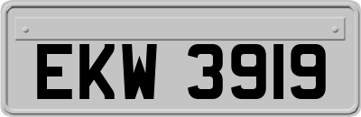 EKW3919