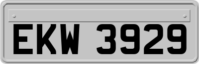 EKW3929