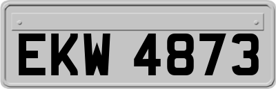 EKW4873