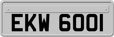 EKW6001