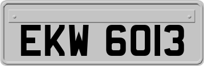 EKW6013
