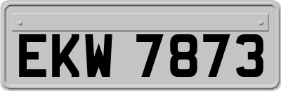 EKW7873