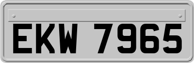 EKW7965