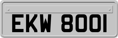 EKW8001
