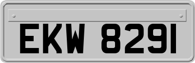 EKW8291