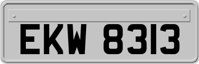 EKW8313