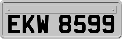 EKW8599