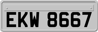 EKW8667