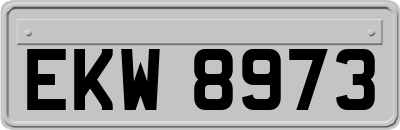 EKW8973
