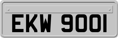 EKW9001