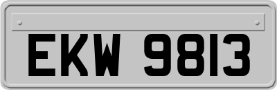 EKW9813