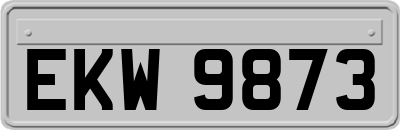 EKW9873