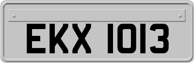 EKX1013