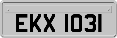 EKX1031