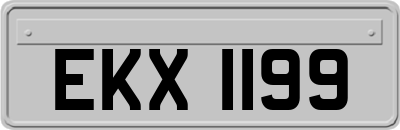 EKX1199