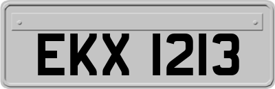 EKX1213