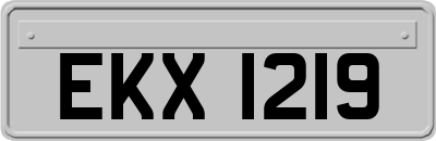 EKX1219