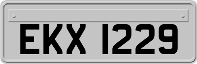 EKX1229