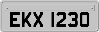 EKX1230