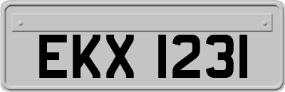 EKX1231