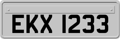 EKX1233