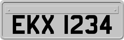 EKX1234