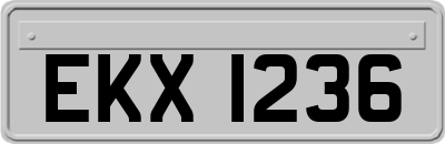 EKX1236