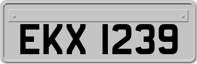 EKX1239