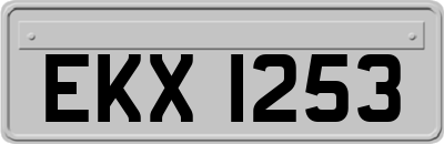 EKX1253