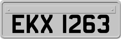 EKX1263