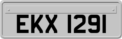 EKX1291