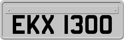 EKX1300