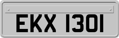 EKX1301