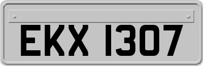 EKX1307