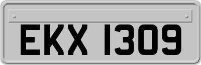 EKX1309