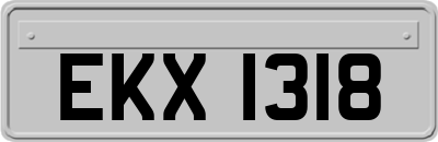 EKX1318