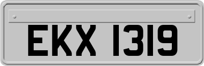 EKX1319
