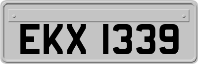 EKX1339