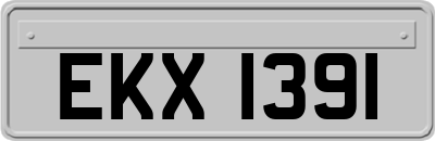 EKX1391