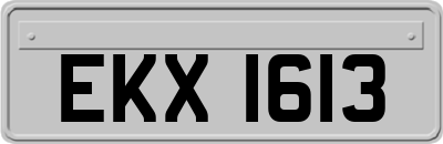 EKX1613