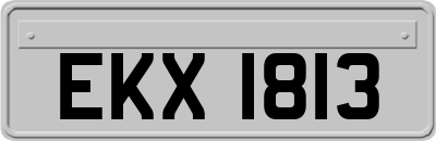 EKX1813
