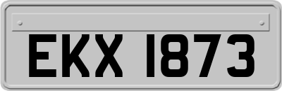 EKX1873