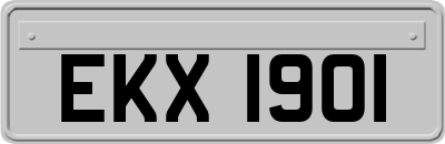 EKX1901