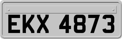 EKX4873