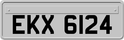 EKX6124
