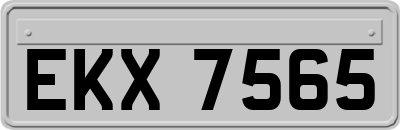 EKX7565