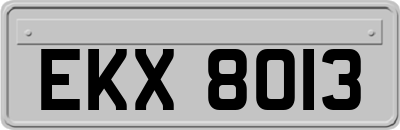 EKX8013