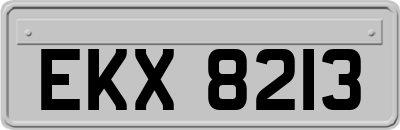 EKX8213