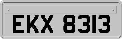 EKX8313