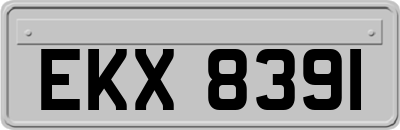 EKX8391
